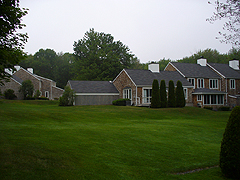 Click here for a larger view of this mold/mildew removal image