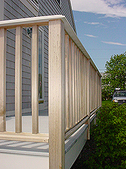 Click here for a larger view of this mold/mildew removal image