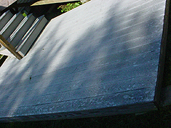 Click here for a larger view of this mold/mildew removal image