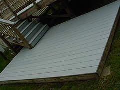 Click here for a larger view of this mold/mildew removal image