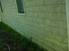 Click here for a larger view of this mold/mildew removal image