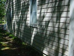 Click here for a larger view of this mold/mildew removal image