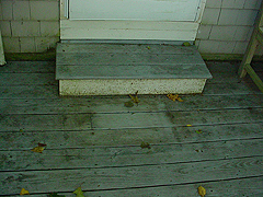 Click here for a larger view of this mold/mildew removal image