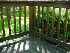 Click here for a larger view of this mold/mildew removal image