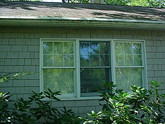 Click here for a larger view of this mold/mildew removal image