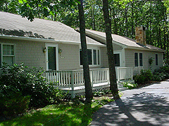 Click here for a larger view of this mold/mildew removal image
