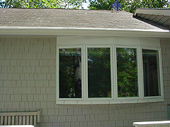 Click here for a larger view of this mold/mildew removal image