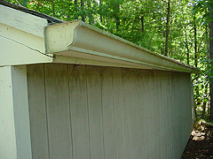 Click here for a larger view of this mold/mildew removal image