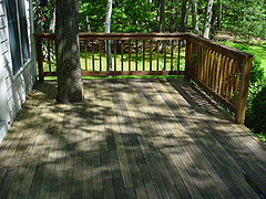 Click here for a larger view of this mold/mildew removal image