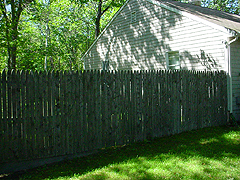 Click here for a larger view of this mold/mildew removal image