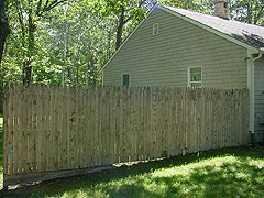 Click here for a larger view of this mold/mildew removal image