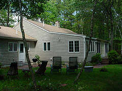 Click here for a larger view of this mold/mildew removal image