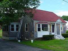 Click here for a larger view of this mold/mildew removal image