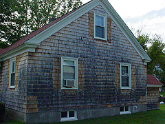 Click here for a larger view of this mold/mildew removal image