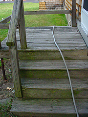 Click here for a larger view of this mold/mildew removal image