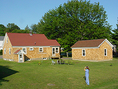 Click here for a larger view of this mold/mildew removal image
