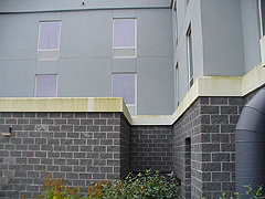 Click here for a larger view of this commercial pressure washing image