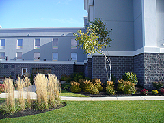 Click here for a larger view of this commercial pressure washing image