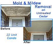 Mold & Mildew Removal on a 22 Unit Condo with 30 year old Untreated Cedar Shingles - Click here for larger before and after photos of this mold and mildew removal project
