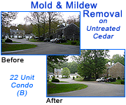 Mold & Mildew Removal on a 22 Unit Condo with 30 year old Untreated Cedar Shingles - Click here for larger before and after photos of this mold and mildew removal project