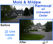 Mold & Mildew Removal on a 22 Unit Condo with 30 year old Untreated Cedar Shingles - Click here for larger before and after photos of this mold and mildew removal project
